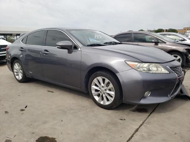 2013 Lexus ES 300H