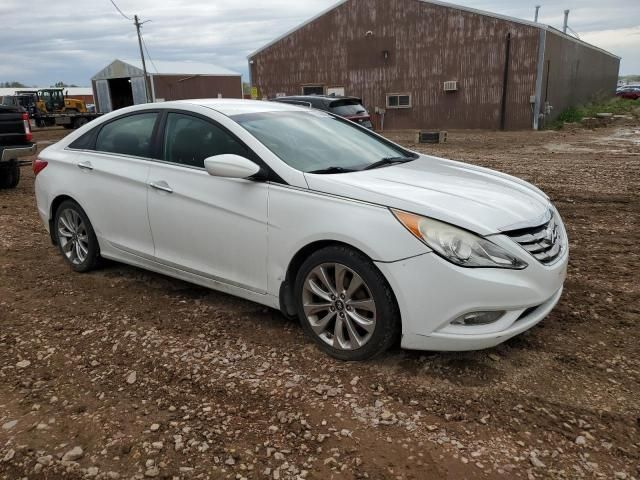 2013 Hyundai Sonata SE