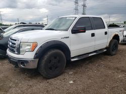 2010 Ford F150 Supercrew for sale in Elgin, IL