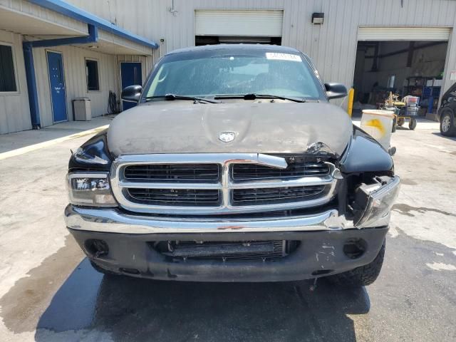 2004 Dodge Dakota Quad SLT