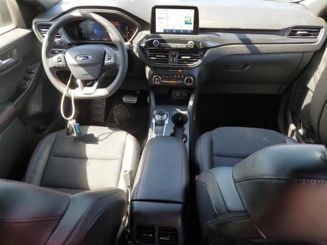 2024 Ford Escape ST Line