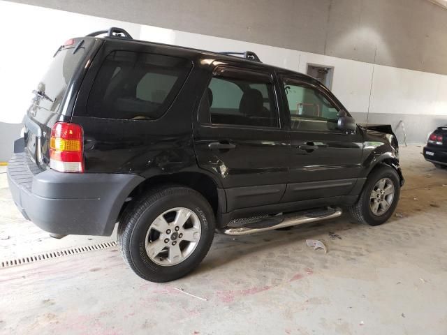 2005 Ford Escape XLT