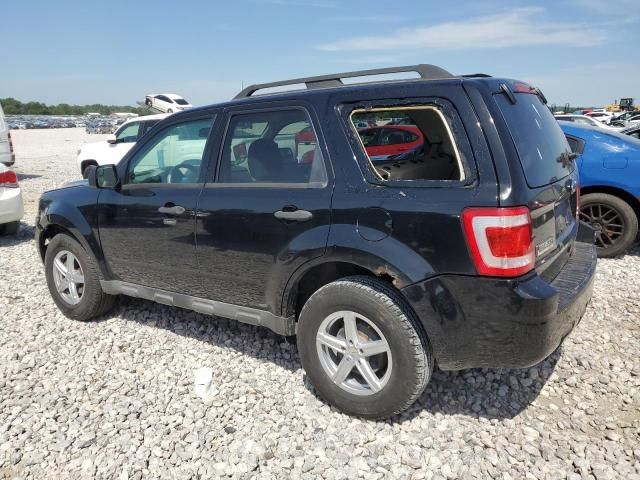 2010 Ford Escape XLT