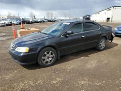 Salvage cars for sale from Copart Rocky View County, AB: 2001 Acura 3.2TL