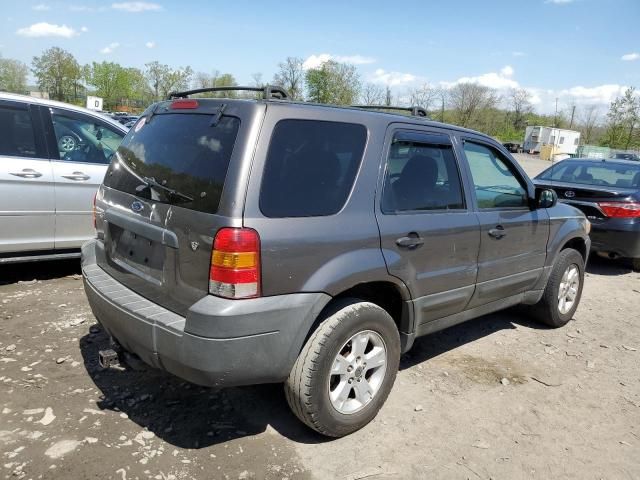 2005 Ford Escape XLT