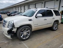 Vehiculos salvage en venta de Copart Louisville, KY: 2013 Cadillac Escalade Platinum