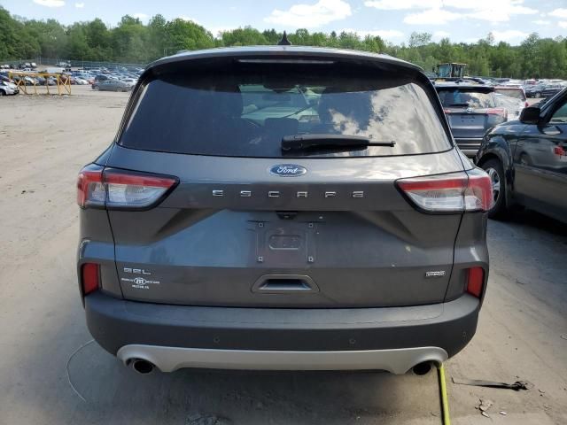 2021 Ford Escape SEL