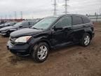2010 Honda Cr-v exl