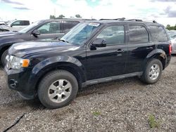 2012 Ford Escape Limited for sale in Portland, MI