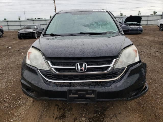 2010 Honda Cr-v exl