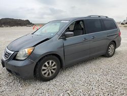2010 Honda Odyssey EX for sale in Temple, TX
