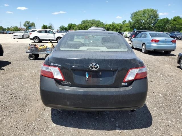 2009 Toyota Camry Hybrid