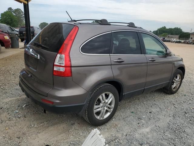 2010 Honda CR-V EXL