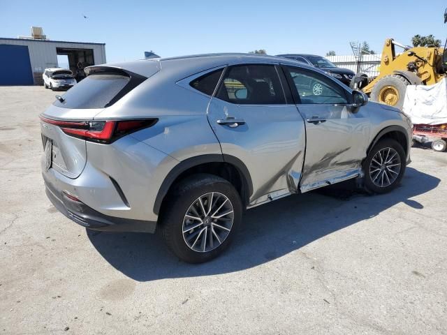 2024 Lexus NX 350H Base