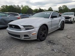 Ford Mustang salvage cars for sale: 2013 Ford Mustang