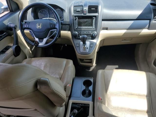 2010 Honda CR-V EXL