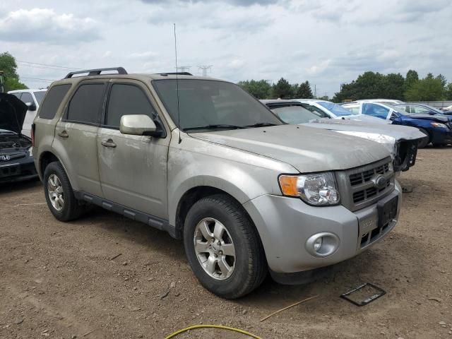 2009 Ford Escape Limited