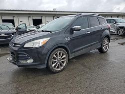 2015 Ford Escape SE en venta en Louisville, KY