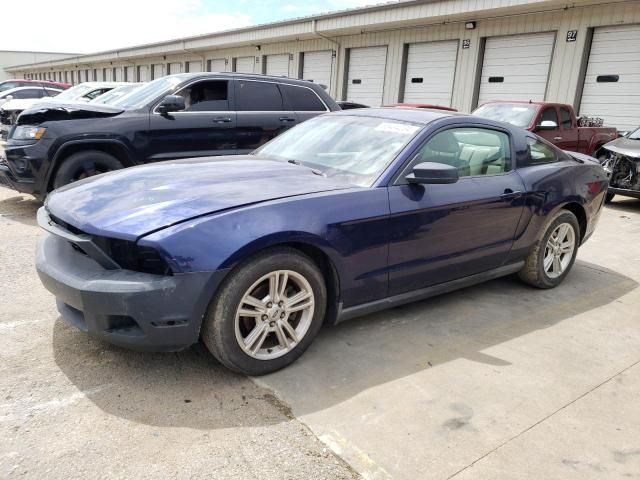 2010 Ford Mustang