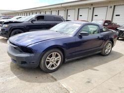 2010 Ford Mustang for sale in Louisville, KY