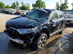 2017 Honda CR-V LX for sale in Bridgeton, MO