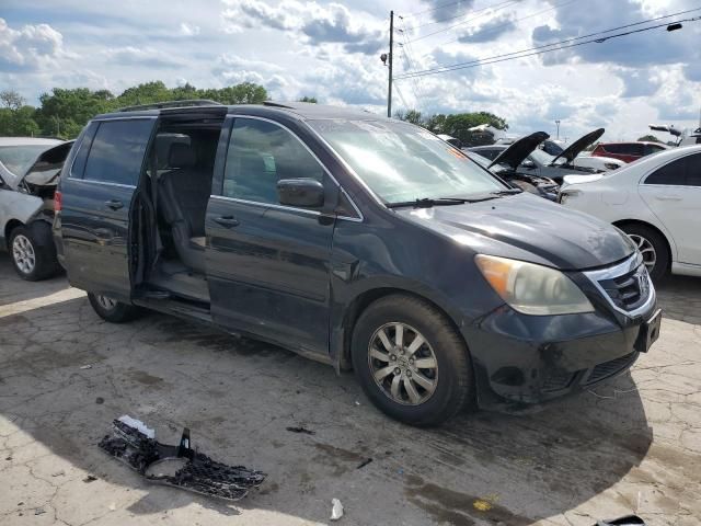 2010 Honda Odyssey EXL