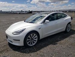 2020 Tesla Model 3 for sale in Airway Heights, WA