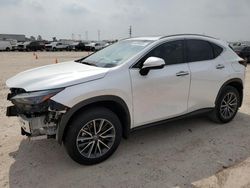 2024 Lexus NX 250 Premium for sale in Houston, TX