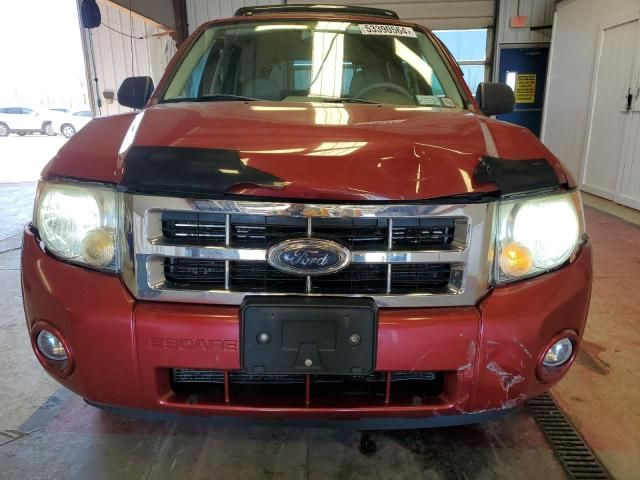 2008 Ford Escape XLT