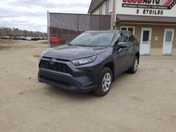 Toyota salvage cars for sale: 2022 Toyota Rav4 LE