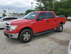 2013 Ford F150 Supercrew for sale in Lexington, KY