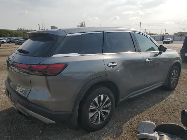 2023 Infiniti QX60 Pure