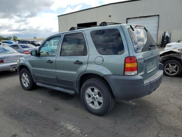 2007 Ford Escape XLT