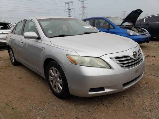 2009 Toyota Camry Hybrid