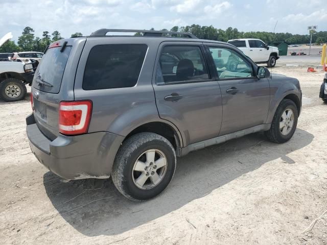 2009 Ford Escape XLT