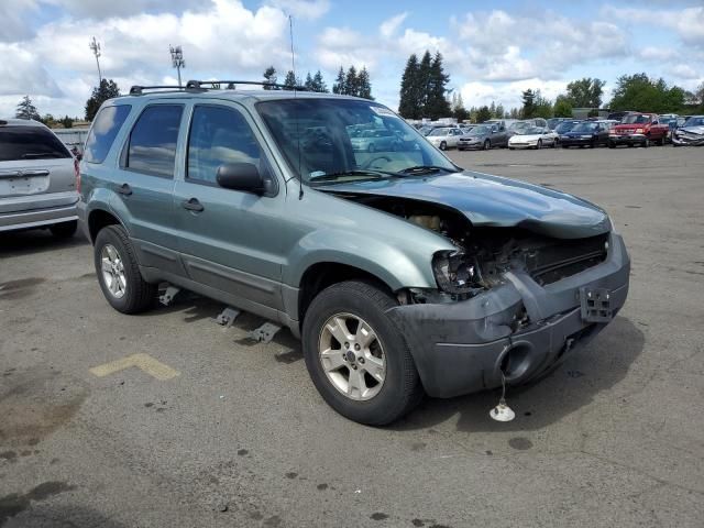 2007 Ford Escape XLT