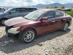 Nissan Vehiculos salvage en venta: 2013 Nissan Maxima S