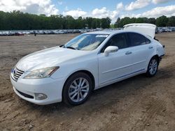 2011 Lexus ES 350 en venta en Conway, AR