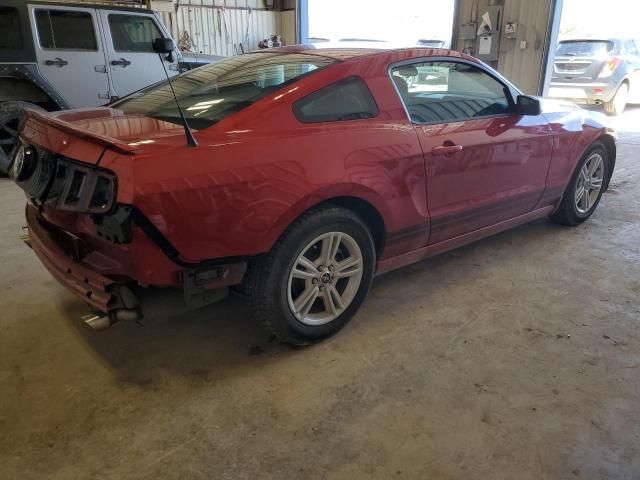 2013 Ford Mustang