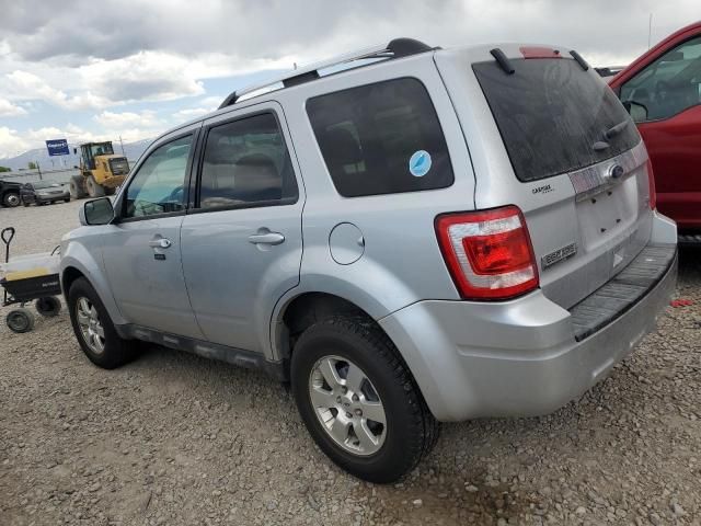 2011 Ford Escape Limited