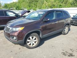 Vehiculos salvage en venta de Copart Assonet, MA: 2013 KIA Sorento LX