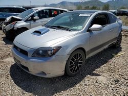 Scion tc Vehiculos salvage en venta: 2005 Scion TC