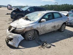 2010 Toyota Corolla Base en venta en Greenwell Springs, LA