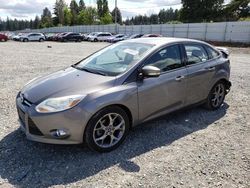 Ford salvage cars for sale: 2013 Ford Focus SE