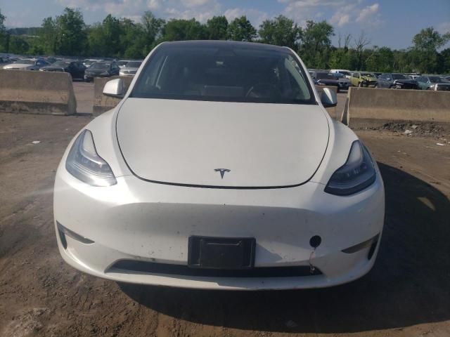 2020 Tesla Model Y