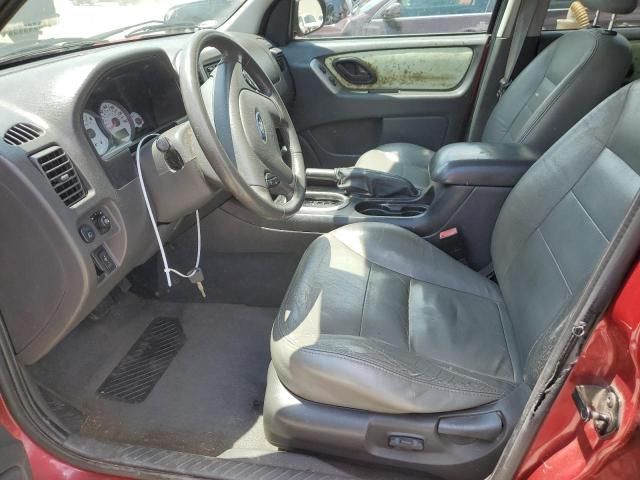 2005 Ford Escape XLT