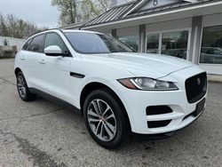 Jaguar F-Pace salvage cars for sale: 2018 Jaguar F-PACE Premium