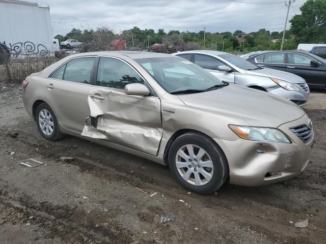 2008 Toyota Camry Hybrid