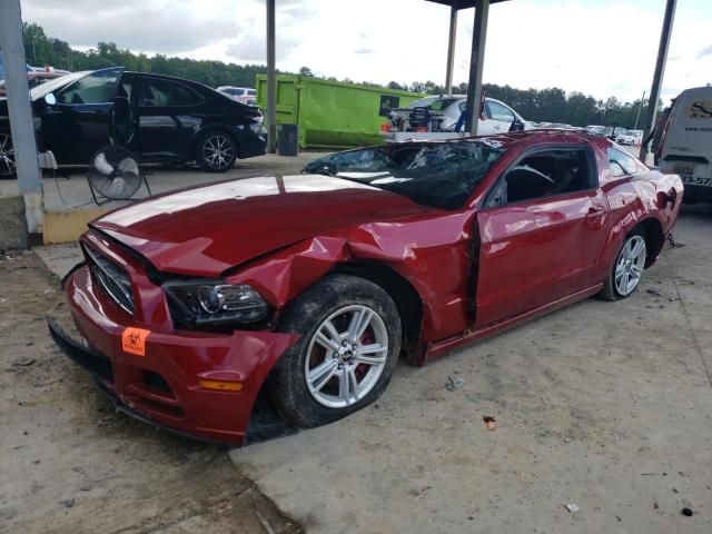 2013 Ford Mustang