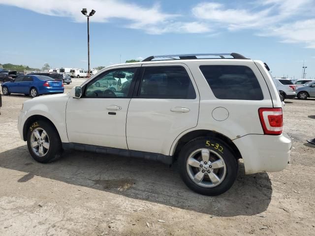 2011 Ford Escape Limited